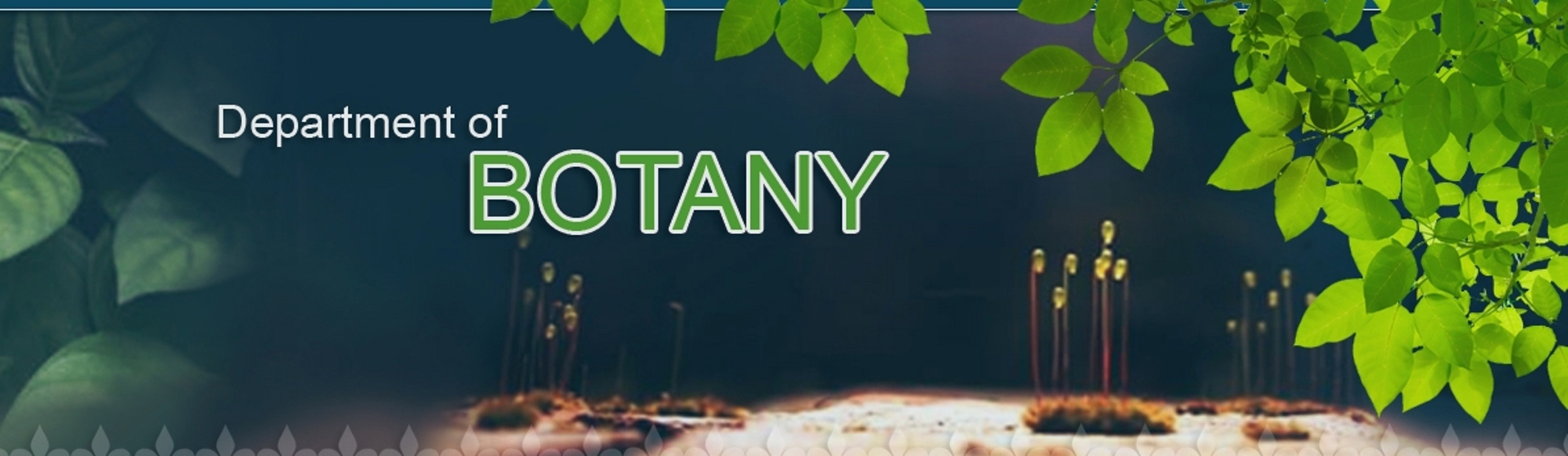 botany